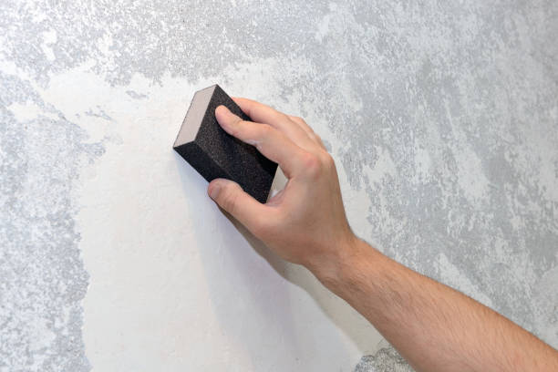 Best Forensic Mold Investigation  in Shelbyville, KY