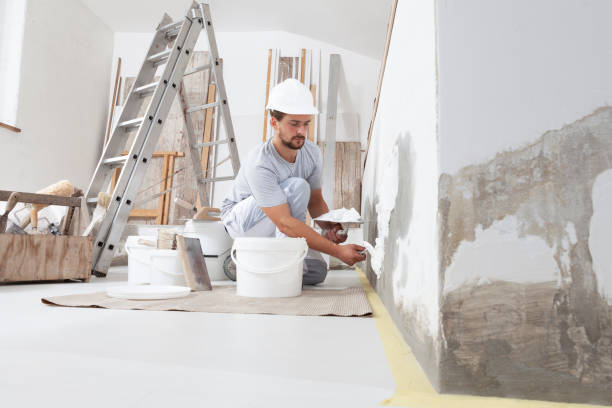 Best Water Damage & Mold Remediation  in Shelbyville, KY