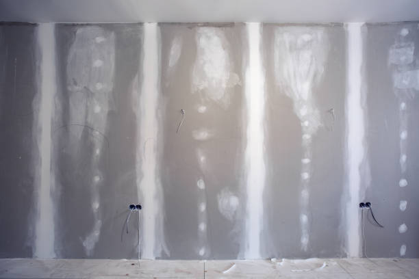 Best Crawl Space Mold Remediation  in Shelbyville, KY